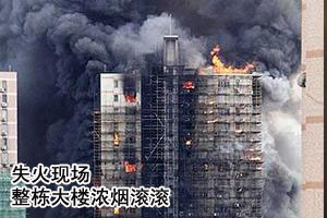 ������¥Ũ�̹���