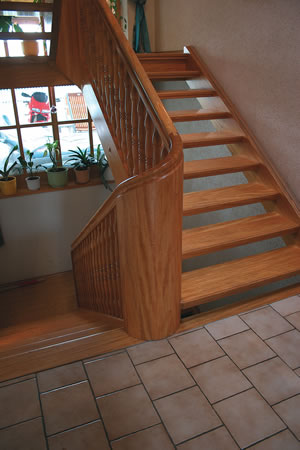 ϯ��ľ����