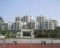 �V�ݰ��ƅ^����Ժ