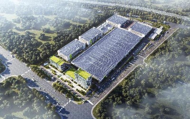 ��̩������5GW��Ч����M��