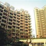 �����������뻨�@