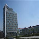 �Ƽ�����