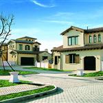 ����-����˹С�(zh��n)