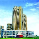 ����ͩ�l(xi��ng)��(gu��)�H�̄�(w��)����