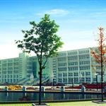 �ϲ�-�����r(n��ng)�I(y��)��W(xu��)