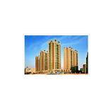 ������\�{ͥ