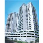 �V���l(f��)չ��B