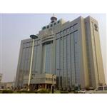 ɽ������������