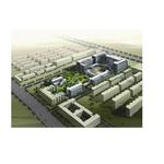 ������W����Ԣ