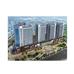 ��ꖇ��H���Q��