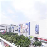 �B�TSM�̘I�ǣ����^���r���V��