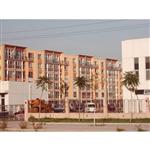 �����^С�^(q��)