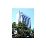 �����y�д��