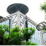 �����й������̂ɴ��