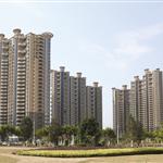 Ȫ���xӳ��ɽ