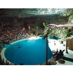 ���ݘO�غ�������