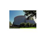 �⽻���k����