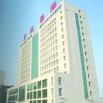 �L(zh��ng)����������