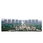 �����T��