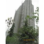 �������OӋԺ