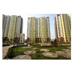 ���u�P�˳�