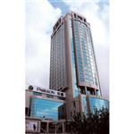 �Ϻ������d��B