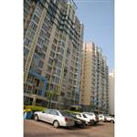 �ػʍu��퍼҈@�T������