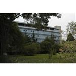 ����D���^