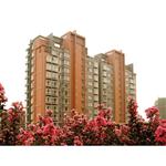 ����С�(zh��n)