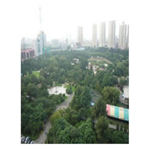 ��ꖵ������H���@