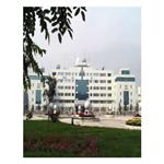 ��ꖎ�����W