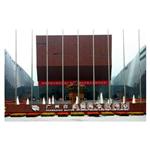 �V���°��Ƈ��H���h����