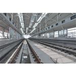 �Ϻ����Fʮһ̖��