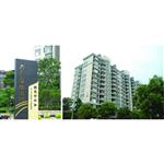 �|ݸ�й�� �\�Cɽ��