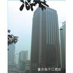 �ؑc�P�ӽ��Ƶ�