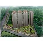 ���ں��Ʒ�@