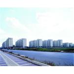 ���~�خa�r���L�A����