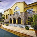 �V��&nbsp;���ֺ�