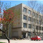 �ӱ�������W