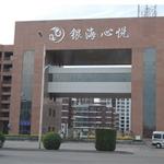 ɽ���y���Đ�