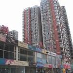 ������������˽�