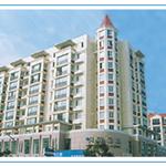 �������鹫Ԣ