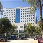 �½��������������tԺ����