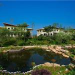 �g��Aʢ�f�@