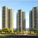 �Lɳ-�ټ���Է