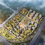 �f�Ʊ����������