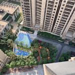 ���މ���褸�