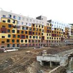 ���W����ѩС�