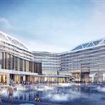 ����A�S���ƺ���;�Ƶ�