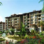 �f��ɭɭ���@������ɽ��